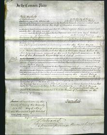 Court of Common Pleas - Anna Waterman-Original Ancestry