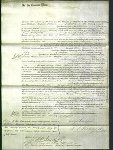Court of Common Pleas - Mary Ann Scholefield-Original Ancestry