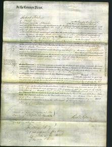 Court of Common Pleas - Phoebe Hubbard and Ann Hubbard-Original Ancestry