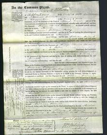 Court of Common Pleas - Harriett Pretty-Original Ancestry