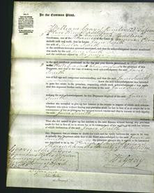 Court of Common Pleas - Jane Smith-Original Ancestry