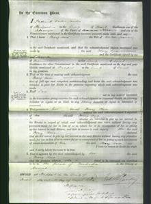 Court of Common Pleas - Mary Ann Goaring-Original Ancestry