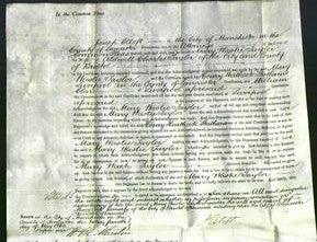 Court of Common Pleas - Mary Wastil Taylor-Original Ancestry