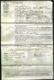 Court of Common Pleas - Florence Mary Shonbridge-Original Ancestry