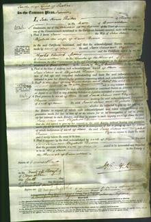Court of Common Pleas - Jane Johns and Elizabeth Bowen-Original Ancestry