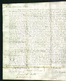 Court of Common Pleas - Susannah Bradridge Denning-Original Ancestry