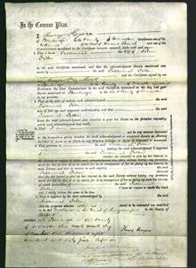 Court of Common Pleas - Susannah Felton-Original Ancestry