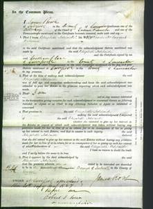 Court of Common Pleas - Elizabeth Adelaide Williams-Original Ancestry