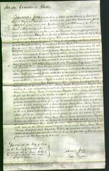 Court of Common Pleas - Mary Anne Barry, Susan Wakefield and Elizabeth Vicker-Original Ancestry