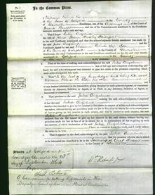 Court of Common Pleas - Julia Angelina Davenport-Original Ancestry