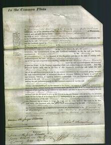 Court of Common Pleas - Dame Anne Bromley-Original Ancestry