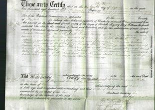 Court of ommon Pleas - Phoebe Badnadge and Elizabeth Sarah Shorthouse-Original Ancestry