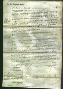 Court of Common Pleas - Hannah Edmunds-Original Ancestry