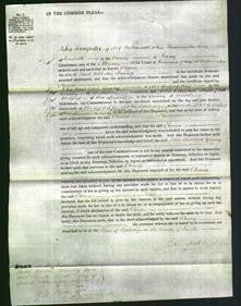 Court of Common Pleas - Eleanor Lurring-Original Ancestry