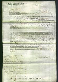 Court of Common Pleas - Frances Sarah Ward-Original Ancestry