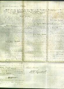 Court of Common Pleas - Eliza Sharp-Original Ancestry