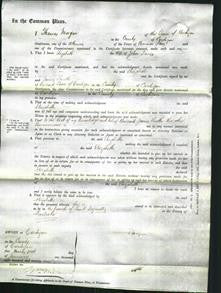 Court of Common Pleas - Elizabeth Davies-Original Ancestry