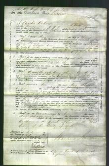 Court of Common Pleas - Mary Johnson-Original Ancestry