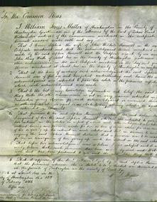 Court of Common Pleas - Sophia Hannell-Original Ancestry