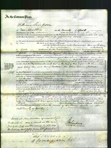 Court of Common Pleas - Mary Hall-Original Ancestry