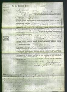 Court of Common Pleas - Eliza Graburn-Original Ancestry