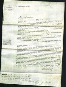 Court of Common Pleas - Sarah Elizabeth Spinner-Original Ancestry