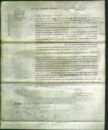 Court of Common Pleas - Esther Knevett-Original Ancestry