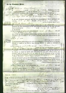 Court of Common Pleas - Mary Jackson and Eliza Todd-Original Ancestry