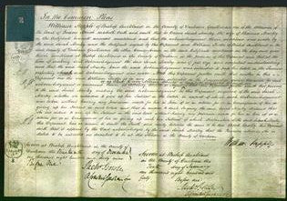 Court of Common Pleas - Sarah Marley-Original Ancestry