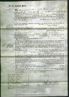 Court of Common Pleas - Margaret Hughes-Original Ancestry