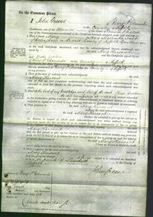 Court of Common Pleas - Mary Harsant-Original Ancestry