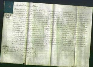 Court of Common Pleas - Frances Davies-Original Ancestry