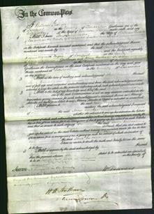 Court of Common Pleas - Jane Gardner-Original Ancestry