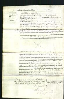 Court of Common Pleas - Mary Ann Lewis-Original Ancestry