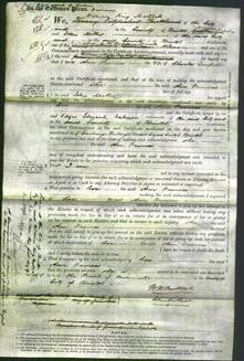 Court of Common Pleas - Ann Frances Dewfall-Original Ancestry