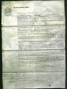 Court of Common Pleas - Mary Ann Leese-Original Ancestry