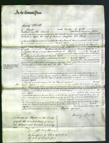 Court of Common Pleas - Agnes Stoney-Original Ancestry