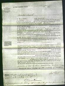 Court of Common Pleas - Mary Ann Walther-Original Ancestry