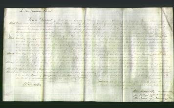 Court of Common Pleas - Mary Ann Coombe-Original Ancestry