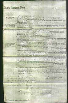 Court of Common Pleas - Drusilla Bull-Original Ancestry