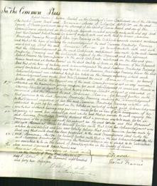 Court of Common Pleas - Susannah Bradridge Denning-Original Ancestry