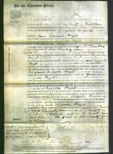Court of Common Pleas - Georgiana Augusta Boyd-Original Ancestry