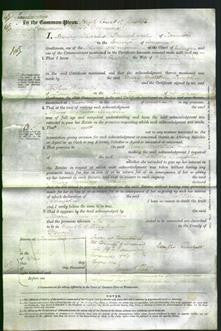 Court of Common Pleas - Mary Matilda Chaplin-Original Ancestry