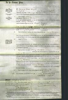 Court of Common Pleas - Mary Badger-Original Ancestry