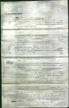 Court of Common Pleas - Ann Darbyshire-Original Ancestry