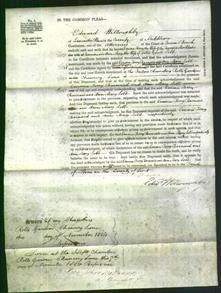 Court of Common Pleas - Emma Terry Barnard and Ann Mary Lobb-Original Ancestry