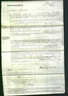 Court of Common Pleas - Ann Whitsed-Original Ancestry