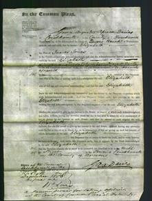 Court of Common Pleas - Elizabeth Jones-Original Ancestry