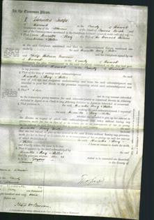 Court of Common Pleas - Henrietta Mary Miller-Original Ancestry