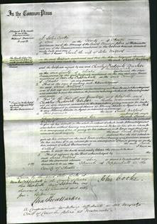 Court of Common Pleas - Sarah Walford-Original Ancestry